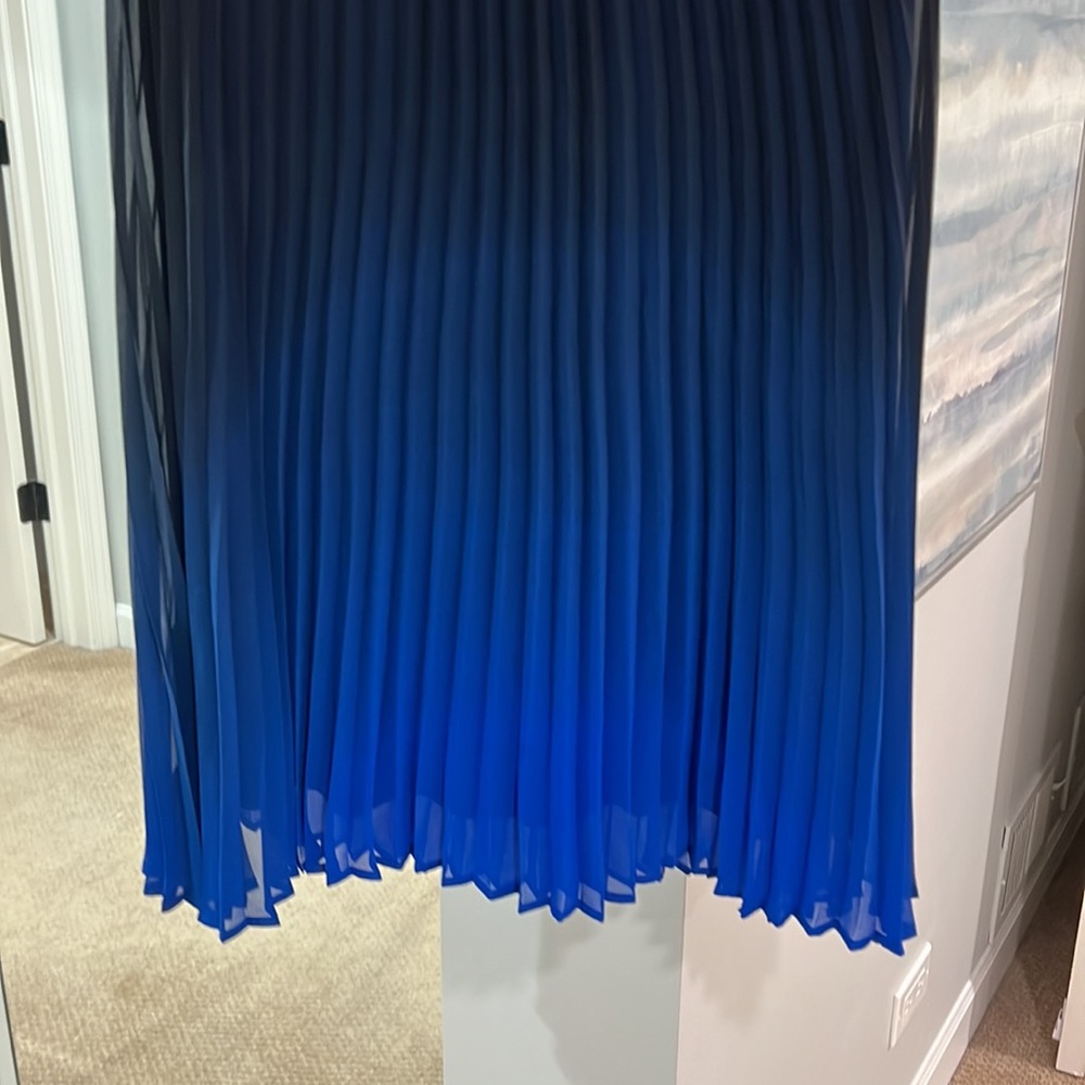 Ombré Midi Skirt - NWT - Picture 2 of 5